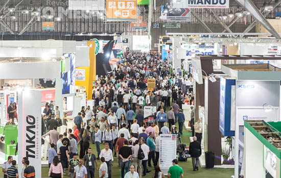 Organização de exposições